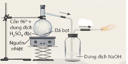BÀI 24: ALKENE