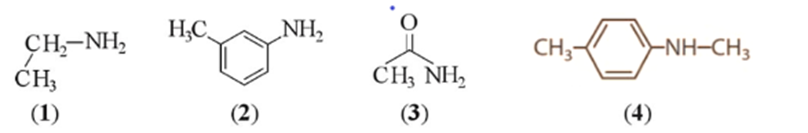 BÀI 8: AMINE