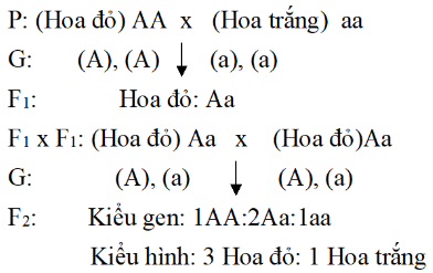 BÀI 36: KHÁI QUÁT VỀ DI TRUYỀN HỌC