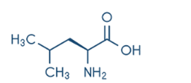 BÀI 9: AMINO ACID VÀ PEPTIDE