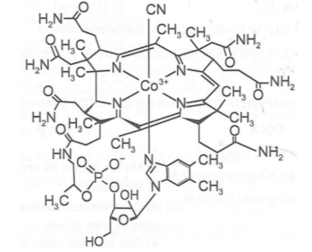 BÀI 28: SƠ LƯỢC VỀ PHỨC CHẤT