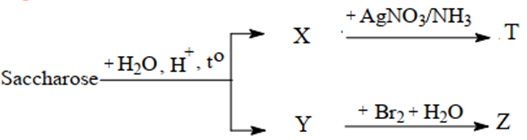 BÀI 5: SACCHROSE VÀ MALTOSE