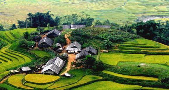 PHIẾU HỌC TẬP 1