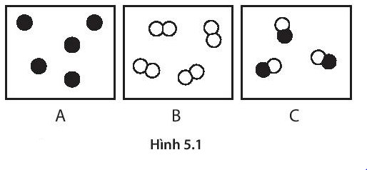BÀI 5: PHÂN TỬ - ĐƠN CHẤT – HỢP CHẤT