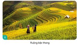 PHIẾU HỌC TẬP 1
