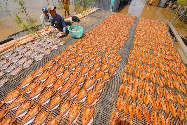 BÀI 11: SỬ DỤNG NĂNG LƯỢNG MẶT TRỜI, NĂNG LƯỢNG GIÓ, NĂNG LƯỢNG NƯỚC CHẢY