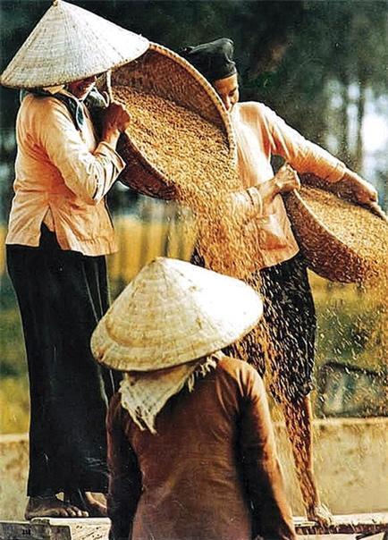 BÀI 11: SỬ DỤNG NĂNG LƯỢNG MẶT TRỜI, NĂNG LƯỢNG GIÓ, NĂNG LƯỢNG NƯỚC CHẢY