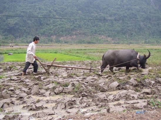 BÀI 1: THÀNH PHẦN VÀ VAI TRÒ CỦA ĐẤT ĐỐI VỚI CÂY TRỒNG
