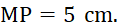 PHIẾU HỌC TẬP 1