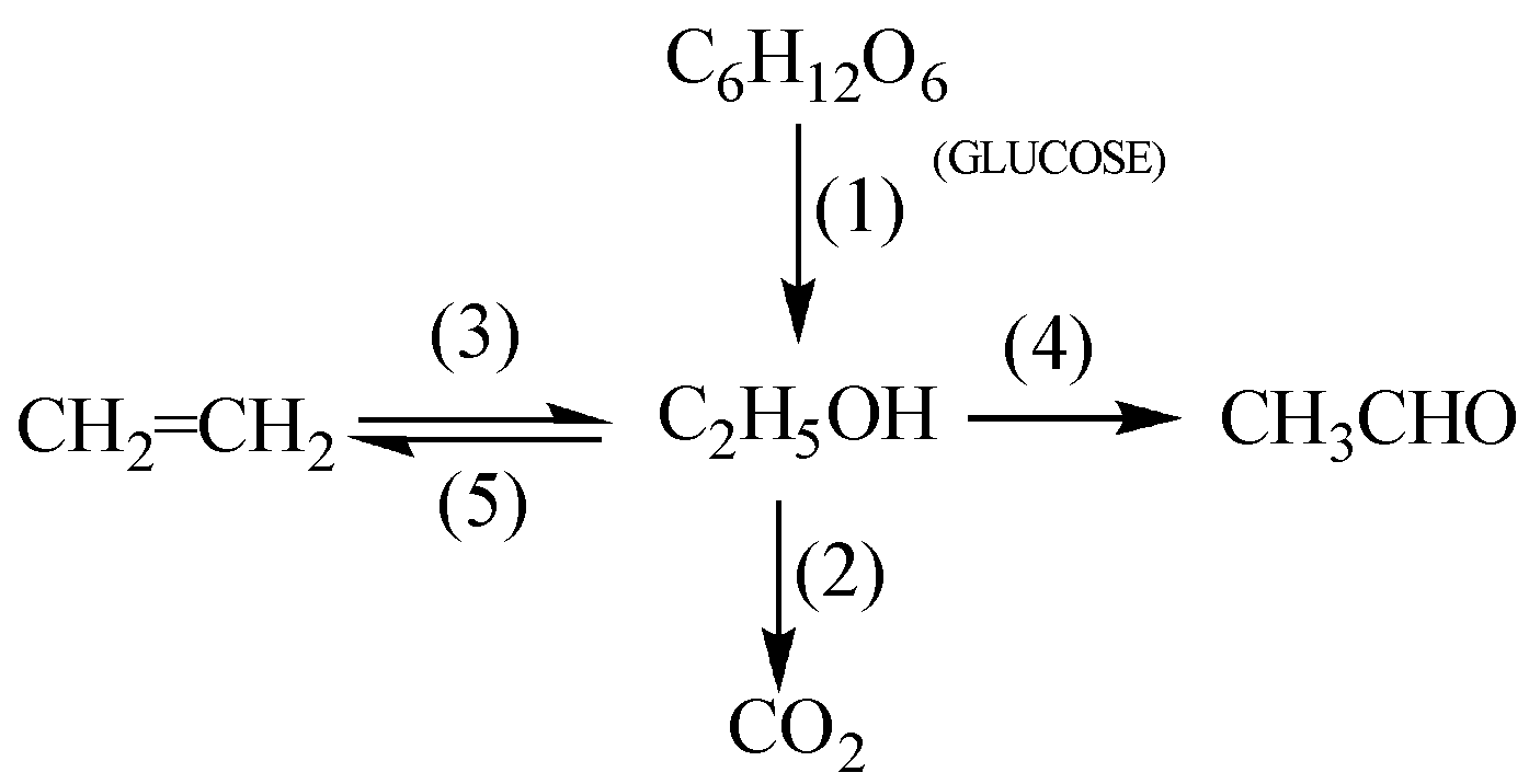 PHIẾU HỌC TẬP SỐ 1