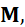 PHIẾU HỌC TẬP 1