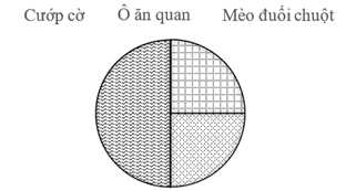 PHIẾU HỌC TẬP 1