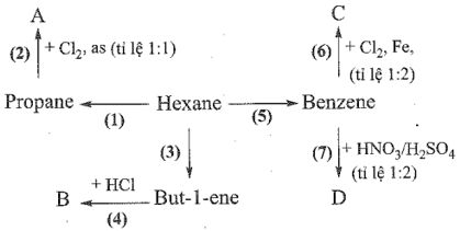 PHIẾU HỌC TẬP SỐ 1