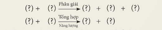 PHIẾU HỌC TẬP 1