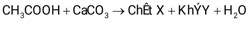 BÀI 24. CARBOXYLIC ACID