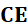 PHIẾU HỌC TẬP 1