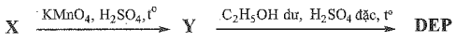 PHIẾU HỌC TẬP SỐ 1