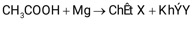 BÀI 24. CARBOXYLIC ACID