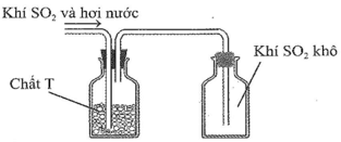 PHIẾU HỌC TẬP SỐ 1