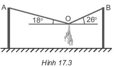 PHIẾU HỌC TẬP SỐ 1