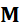 PHIẾU HỌC TẬP 1