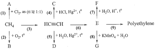 PHIẾU HỌC TẬP SỐ 1