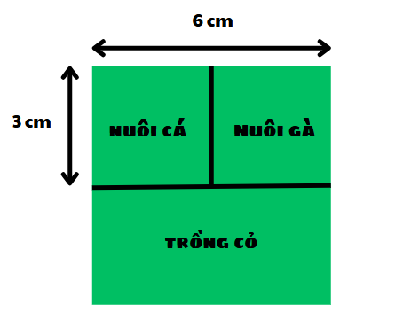 kenhhoctap