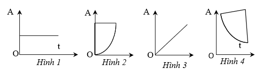 kenhhoctap