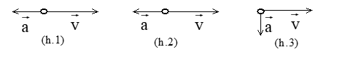 kenhhoctap