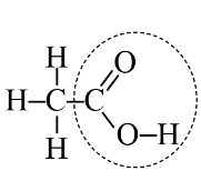 kenhhoctap