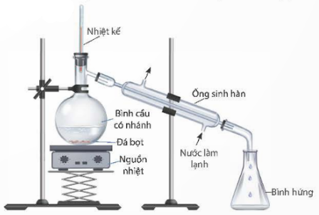 kenhhoctap