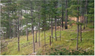 kenhhoctap