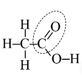 kenhhoctap