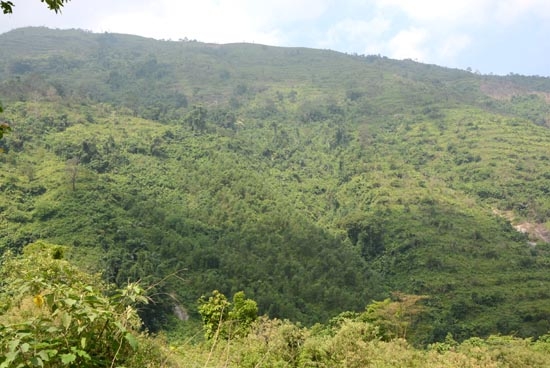 kenhhoctap