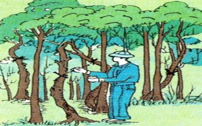 kenhhoctap