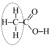 kenhhoctap