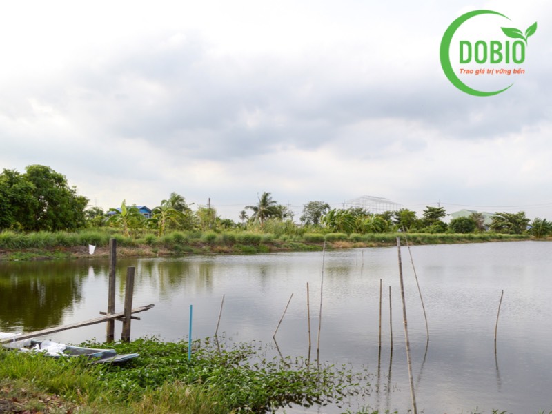 BẢN ĐẶC TẢ KĨ THUẬT ĐỀ KIỂM TRA HỌC KÌ 1 (2024 – 2025)