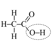 kenhhoctap