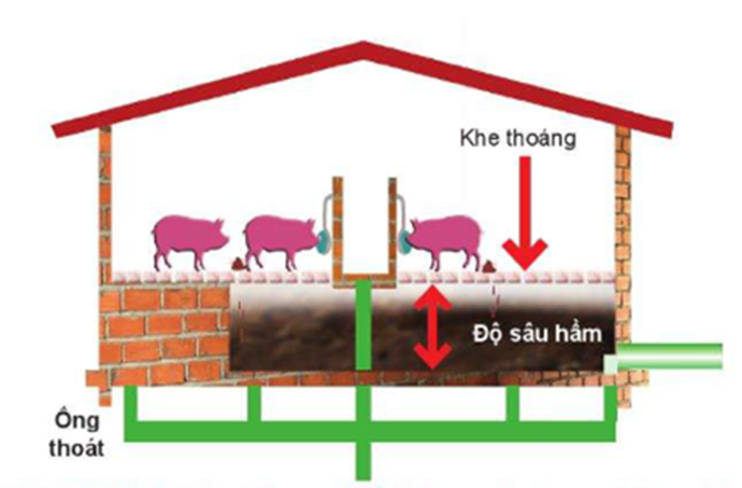 kenhhoctap