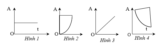 kenhhoctap