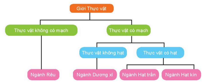 kenhhoctap