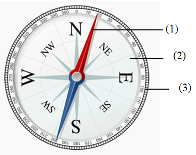 ÔN TẬP CHƯƠNG 6: TỪ (PHẦN 1 - 20 CÂU)