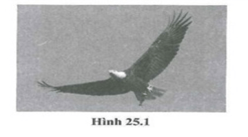BÀI 28: SỰ TRUYỀN NHIỆT