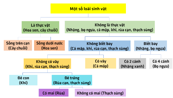 kenhhoctap