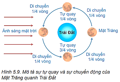 Câu hỏi khởi động