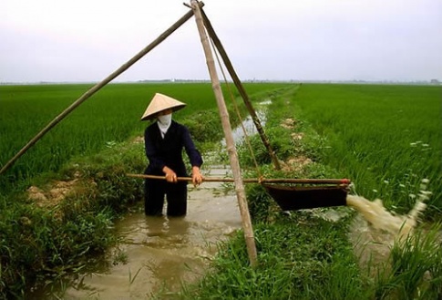 Câu hỏi khởi động