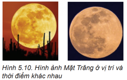 Câu hỏi khởi động