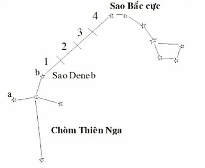 Câu hỏi khởi động