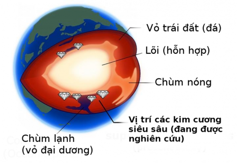 Câu hỏi khởi động