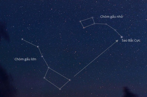 Câu hỏi khởi động